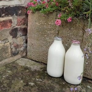 SunriseFarmandDairyMilkSqu